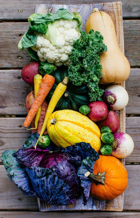 Fall Vegetable Garden